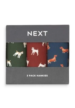 Next Woodland Animals Handkerchiefs 3 Pack - Pochet - Dogs