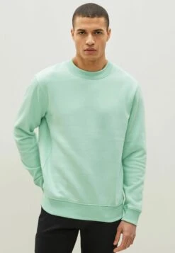 Next Crew - Sweater - Mint Green
